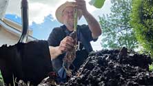 Deep Roots Photo 1
