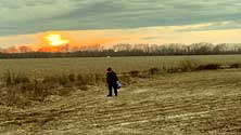 Deep Roots Photo 29