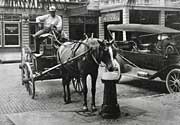 Tampa Horse Fountain 1912