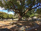 Woodlawn Cemetery Plots 2018